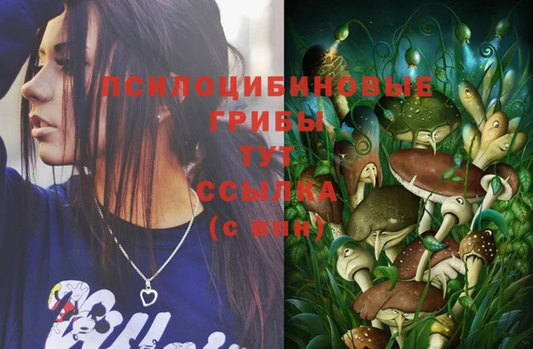 альфа пвп Каменск-Шахтинский