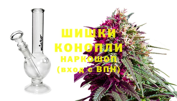 2c-b Каменногорск